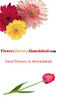 ARMOUR ROCK from FLOWERSDELIVERYAHMEDABAD.PVT.LTD