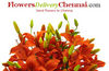 FLORISTS & FLORAL DESIGNERS from FLOWERSDLIVERYCHENNAI@GMAIL.COM