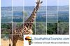 DESERT SAFARIS from SOUTHAFRICATOURSINC