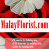 FLOWER POTS ALUMINIUM from  RIGHT FLORIST PVT LTD.