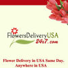 HEXAGONAL STOP PLUGS from FLOWERSDELIVERYUSA24X7