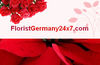 SUSPENDED ACCESS PLATFORM from FLORISTGERMANY24X7.COM