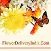 ADVERTISING GIFT ARTICLES from FLOWERDELIVERYINDIA.COM