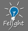COMPUTER TRAINING SERVICES from FELIGHT