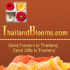FRESH GERBERA FLOWERS from THAILANDBLOOMS